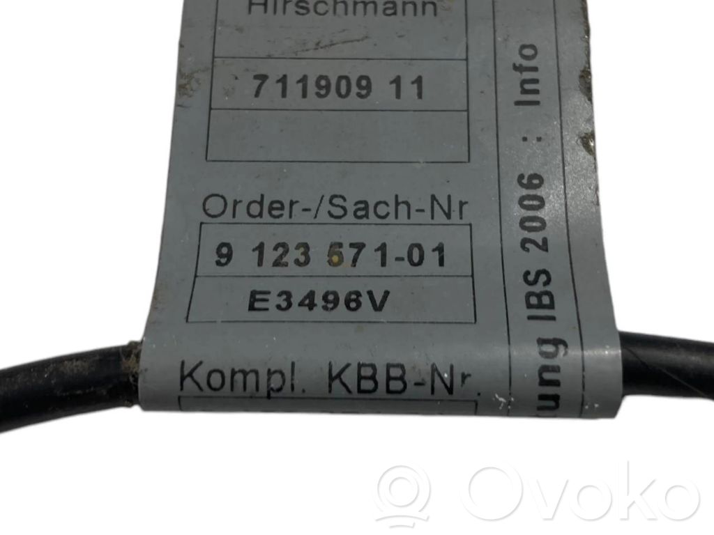 Mīnusa vads (akumulatora)