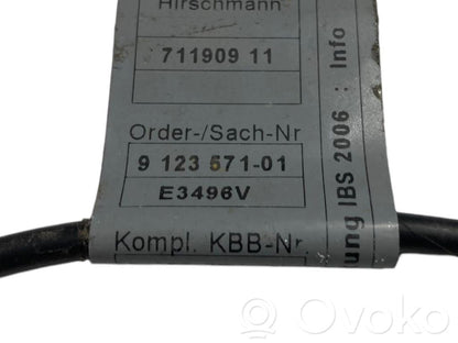 Mīnusa vads (akumulatora)