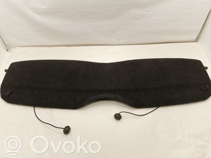 Aizmugurējā palodze