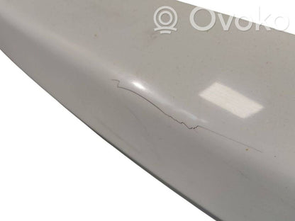 Bagāžnieka dekoratīvā apdare