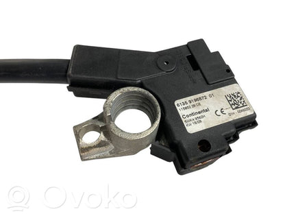 Negative wire (battery)