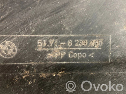 Aizmugurējais apakšspārns