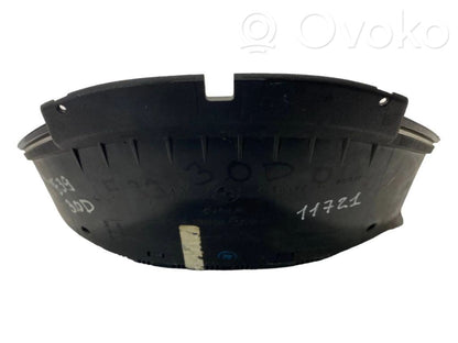 Speedometer (in the instrument panel)