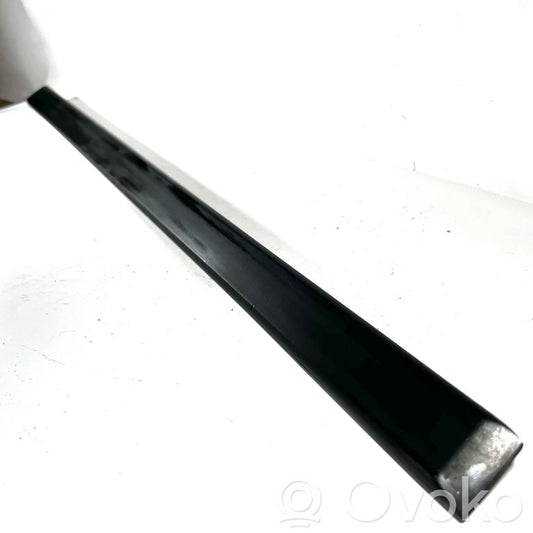 Rear door decorative trim (moulding)