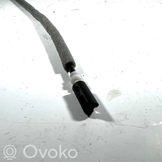 Trosīte