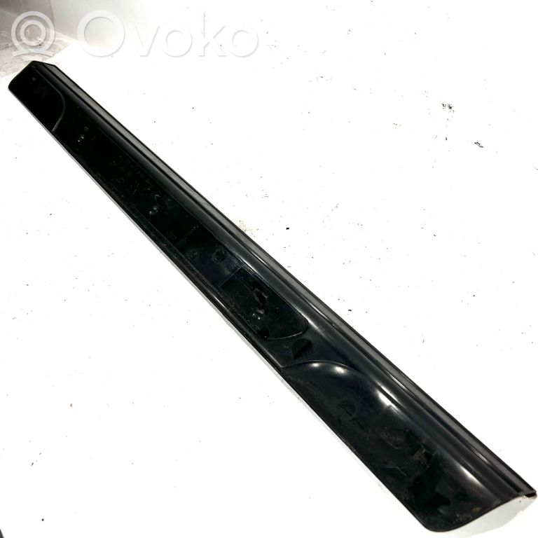 Front sill trim (inner)