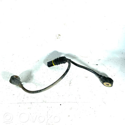 Detonācijas sensors