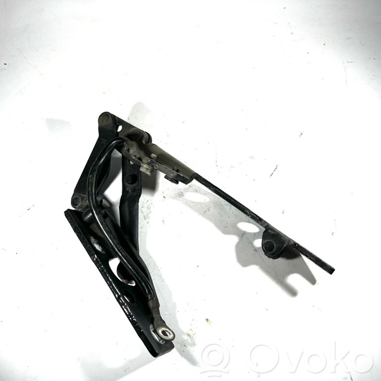 Engine hood hinge(s)