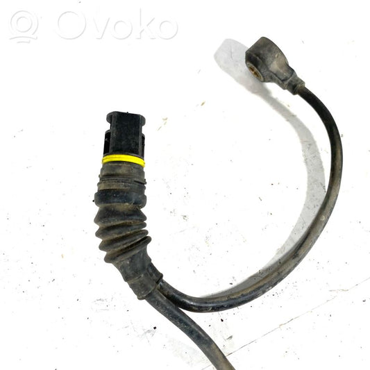 Detonācijas sensors