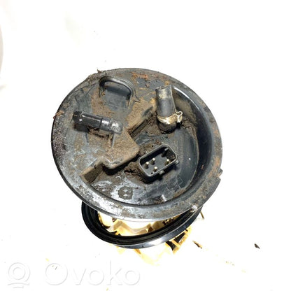 Fuel pump (in the fuel tank)