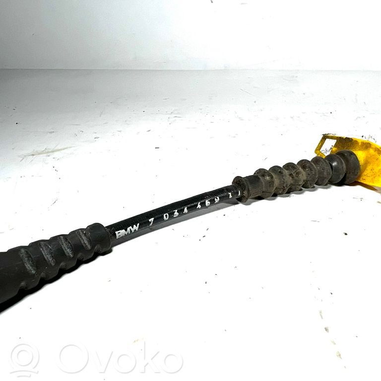 Trosīte