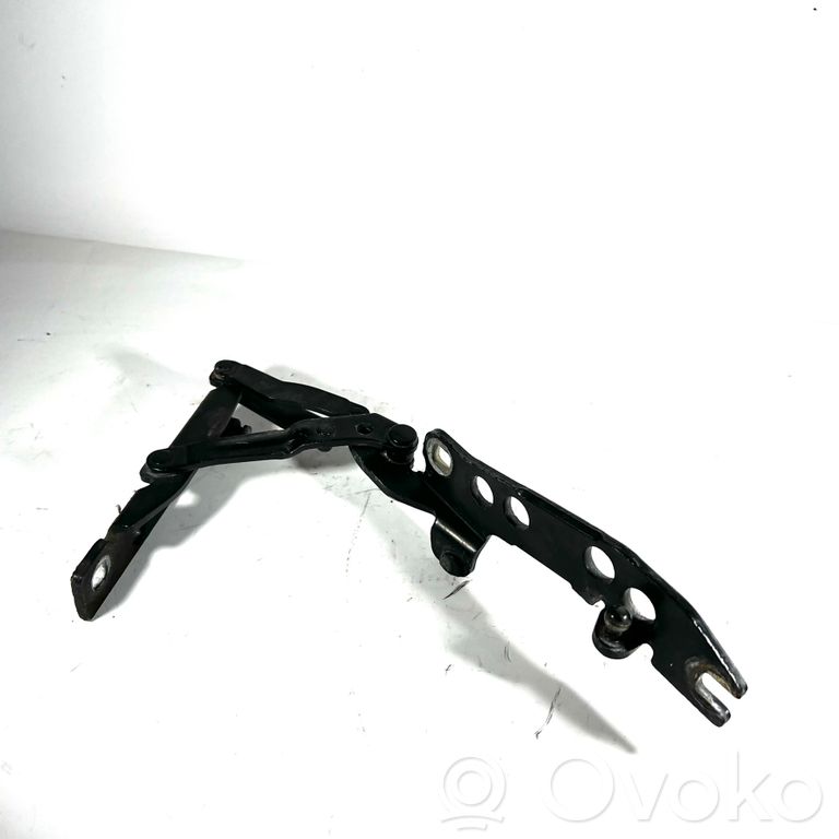 Engine hood hinge(s)