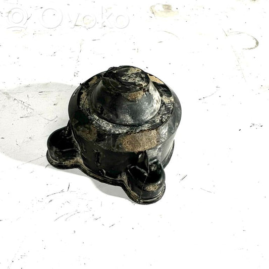 Rear shock absorber cylinder protector