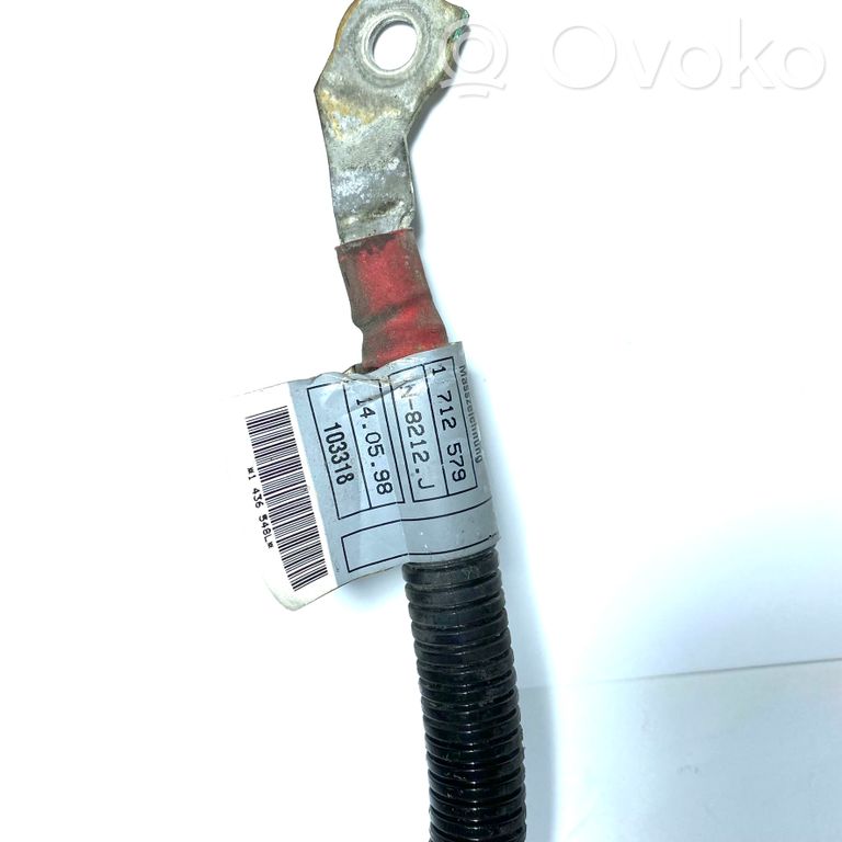 Plusa vads (akumulatora)