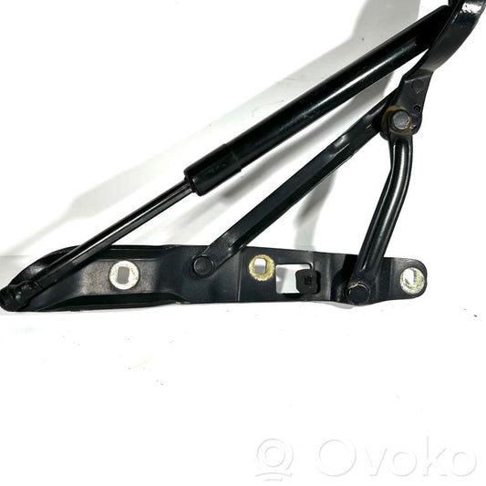 Rear cover hinge(s)