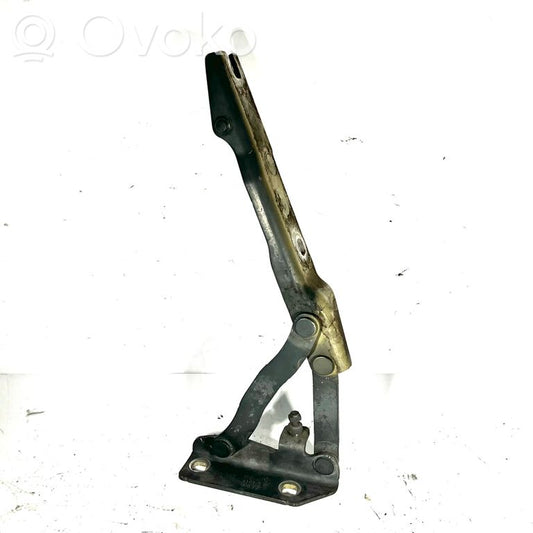 Engine hood hinge(s)