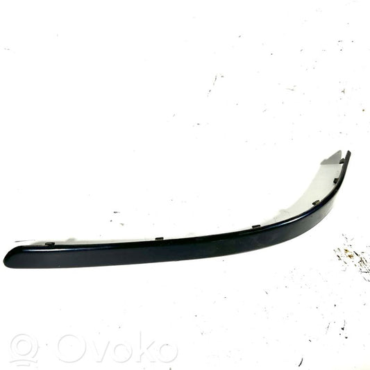 Decorative bumper trim at the front