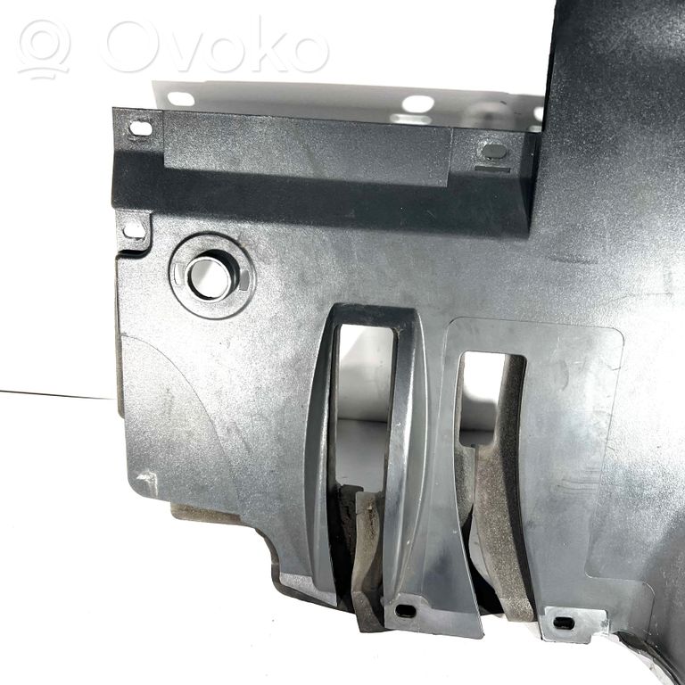 Panel decorative trim shield (lower)