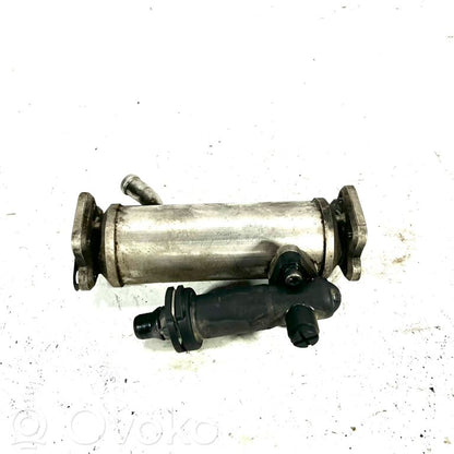 EGR dzesētājs