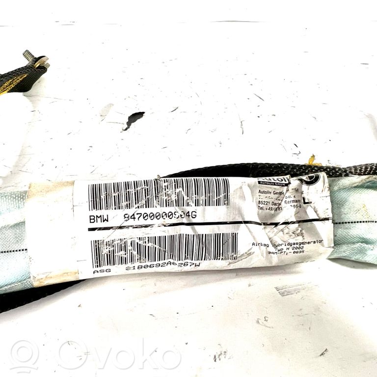 Roof airbag