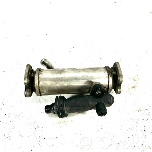охладитель EGR