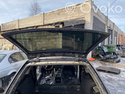 Aizmugurējās durvis