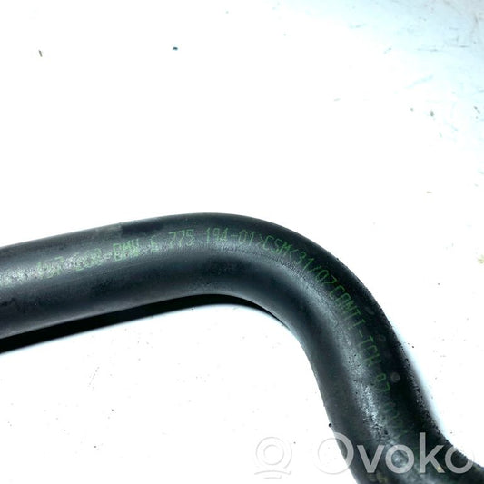 Stūres pastiprinātāja šļūtene (-es) / caurulīte (-es)