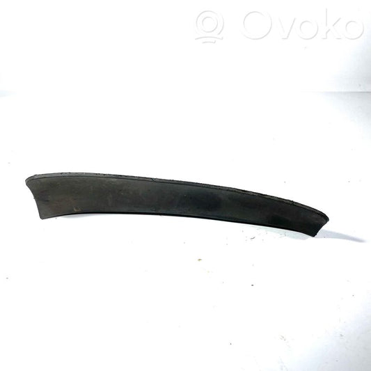 Aizmugurējais dubļusargs