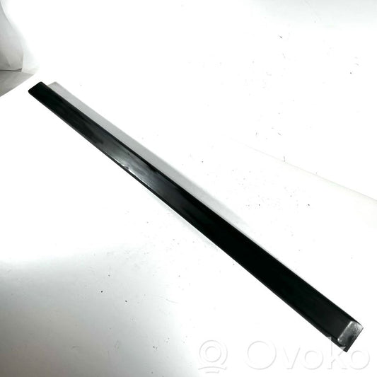 Aizmugurē durvju dekoratīvā apdare (moldings)