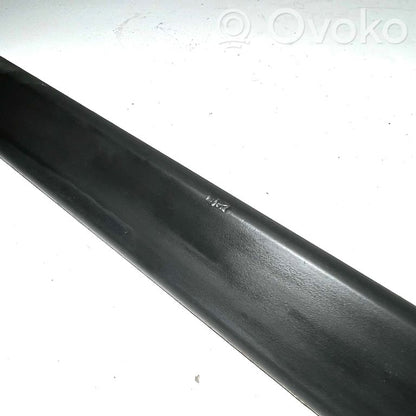 Aizmugurē durvju dekoratīvā apdare (moldings)