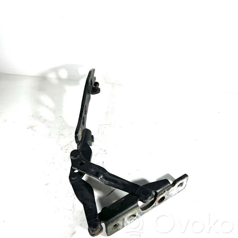 Dzinēja pārsega eņģe (-es)