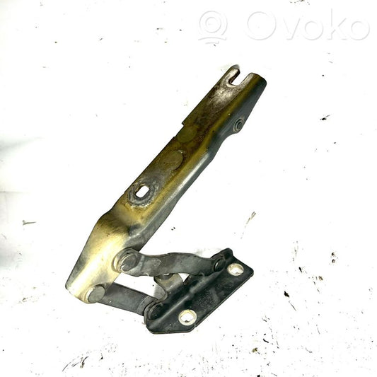 Dzinēja pārsega eņģe (-es)