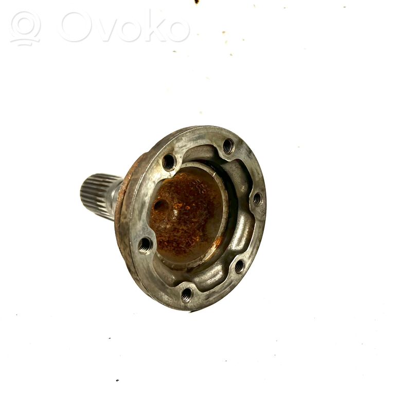 Aizmugurējā pusass