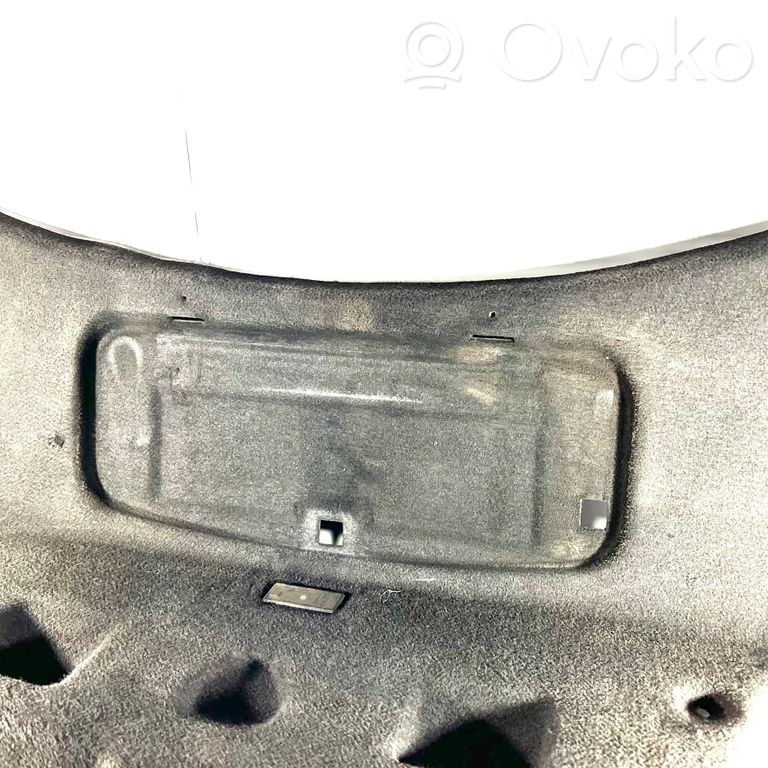 Bagāžnieka dekoratīvā apdare