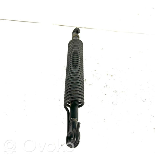 Bagāžnieka amortizators