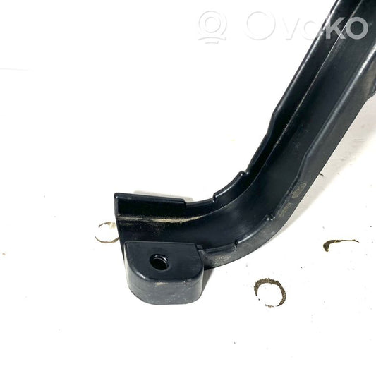 Plusa vads (akumulatora)