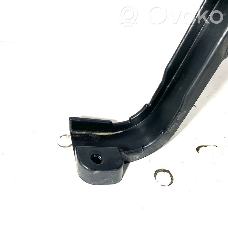 Plusa vads (akumulatora)