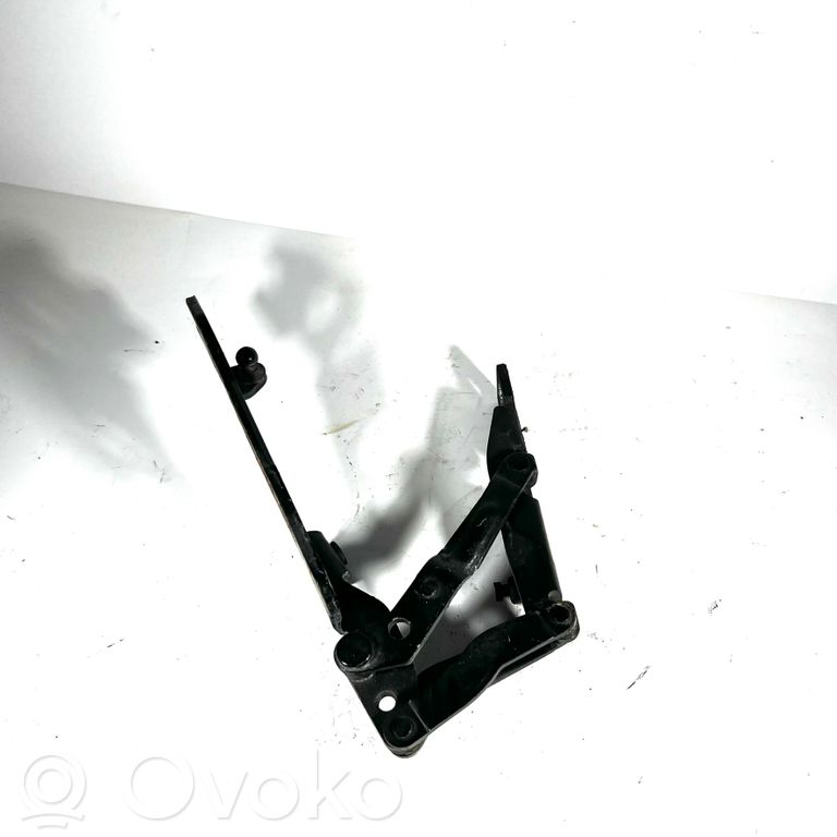 Engine hood hinge(s)