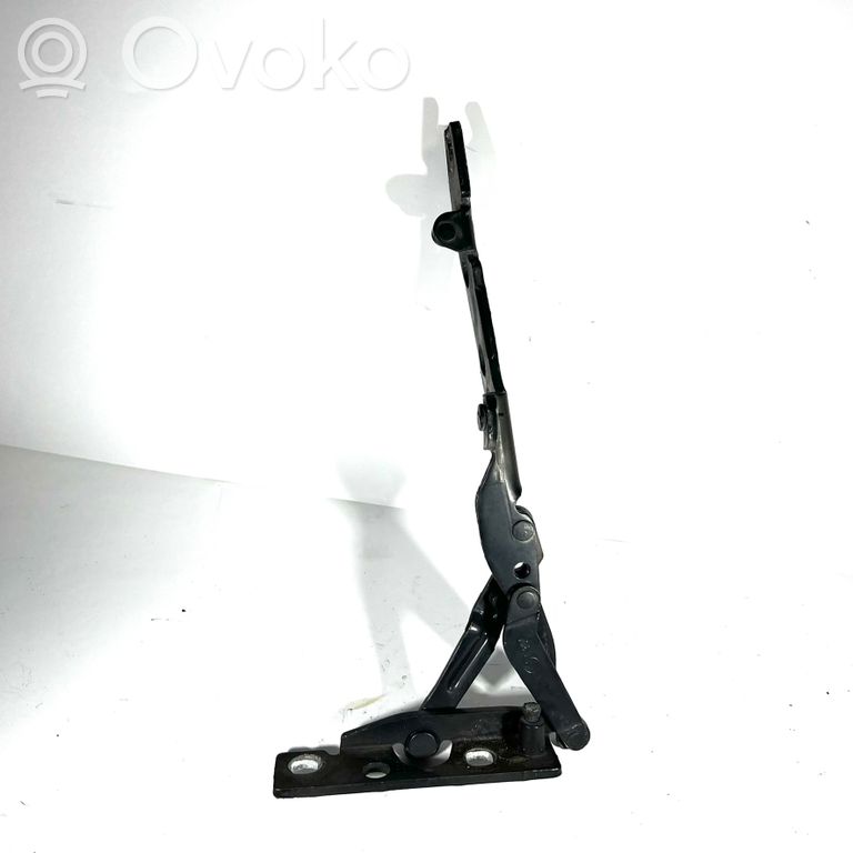 Engine hood hinge(s)