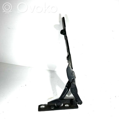 Engine hood hinge(s)