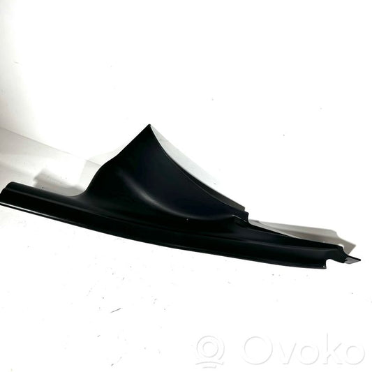 Rear door sill trim (inner)