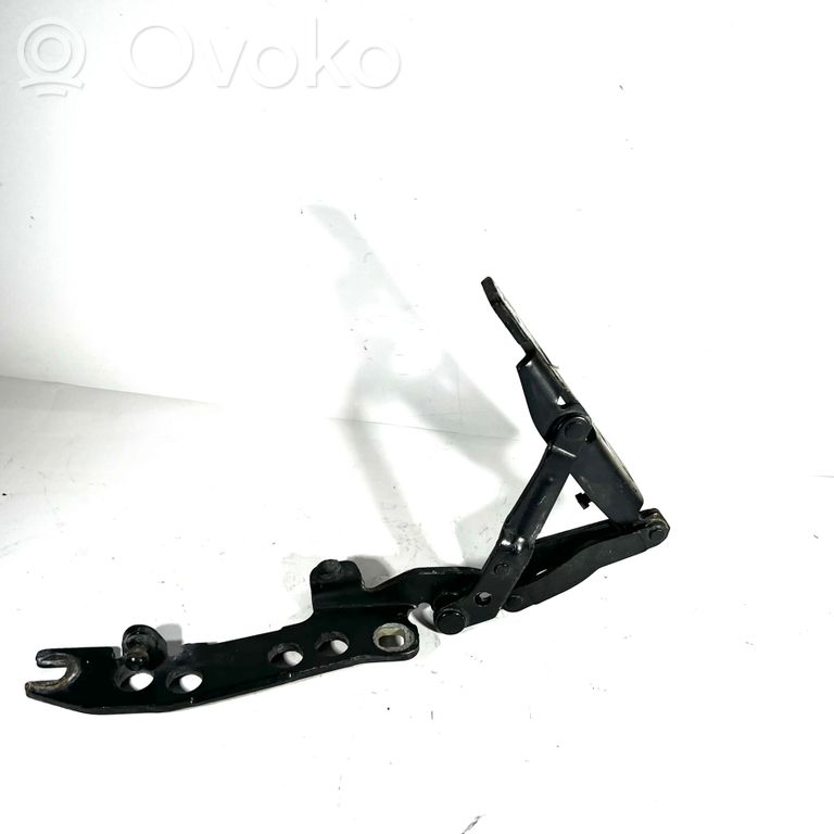 Dzinēja pārsega eņģe (-es)