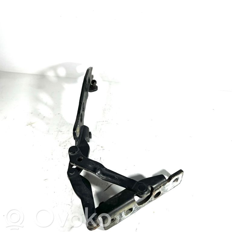 Dzinēja pārsega eņģe (-es)