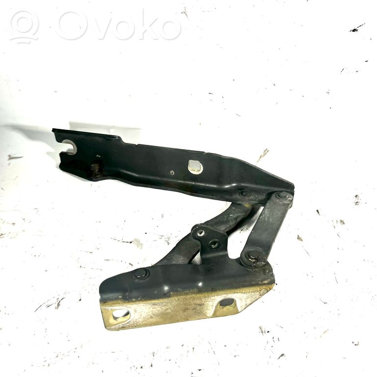 Engine hood hinge(s)