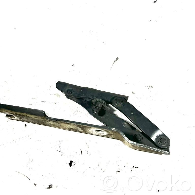 Dzinēja pārsega eņģe (-es)