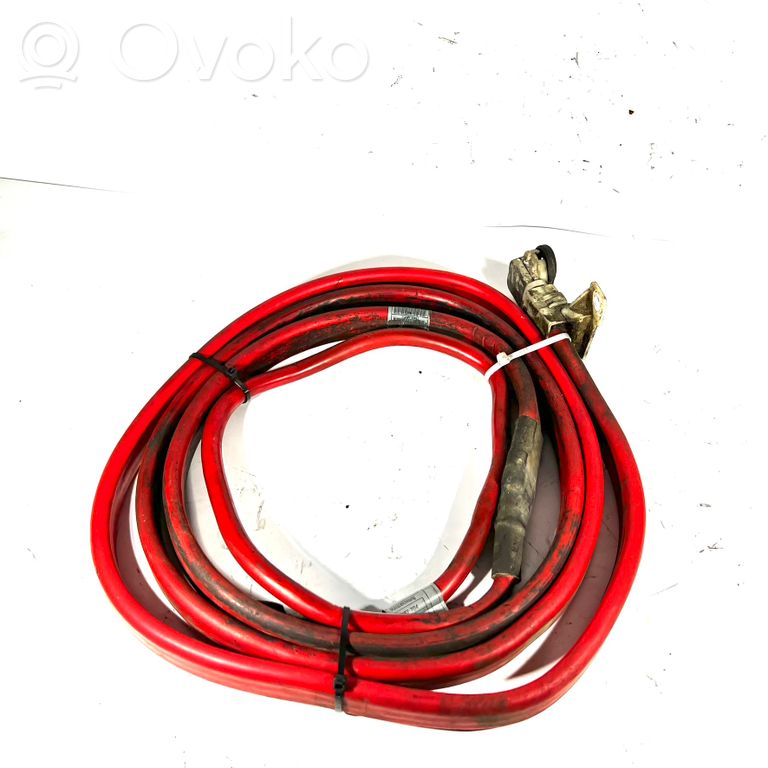 Plusa vads (akumulatora)