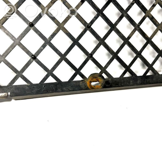 Priekšpusē dekoratīva bampera uzlikas