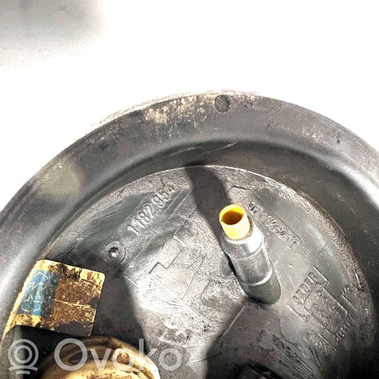 Fuel pump (in the fuel tank)