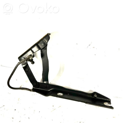 Петли капота двигателя