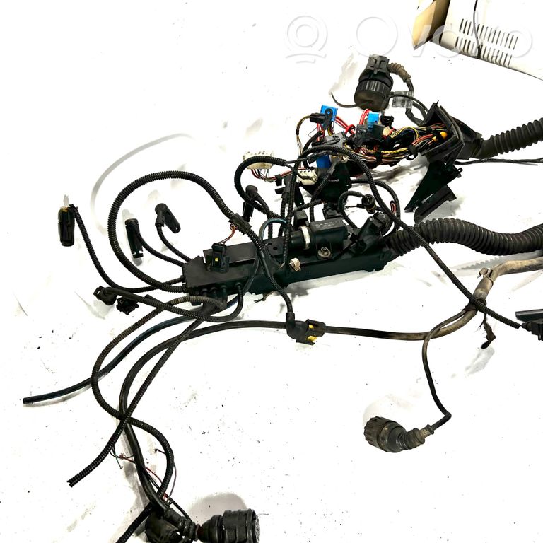 Engine wiring harness